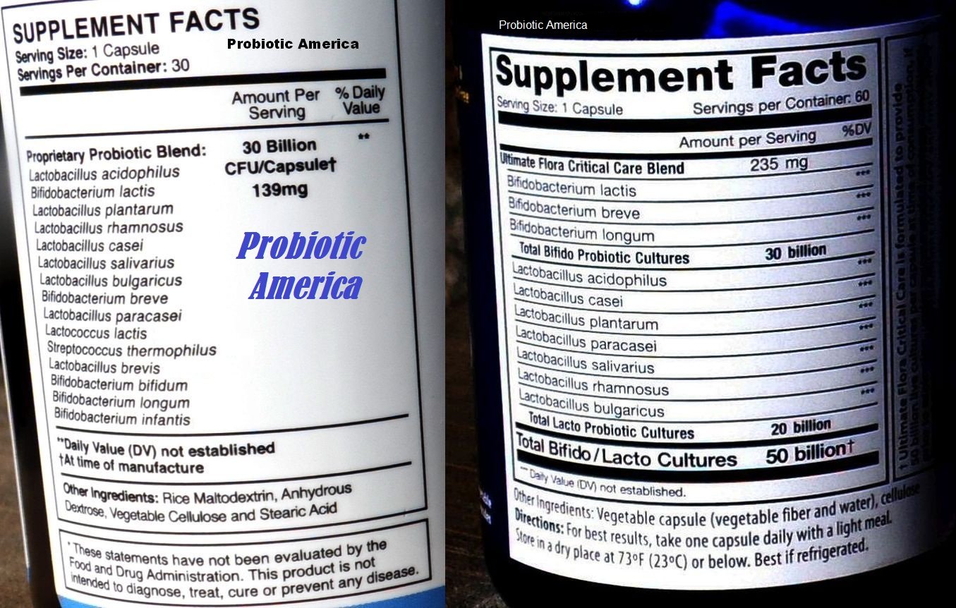 probiotic america ingredients